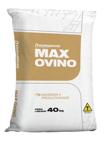 Ovinos Corte Campo