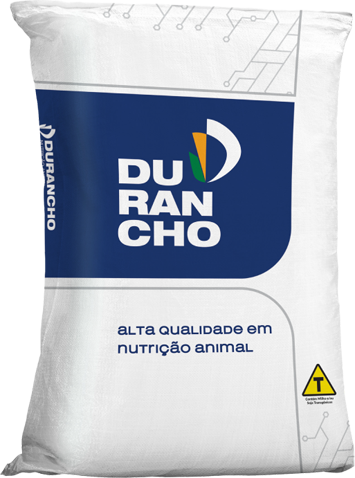 Max Codorna Crescimento