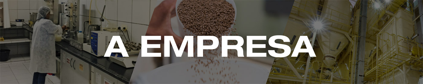 Empresa